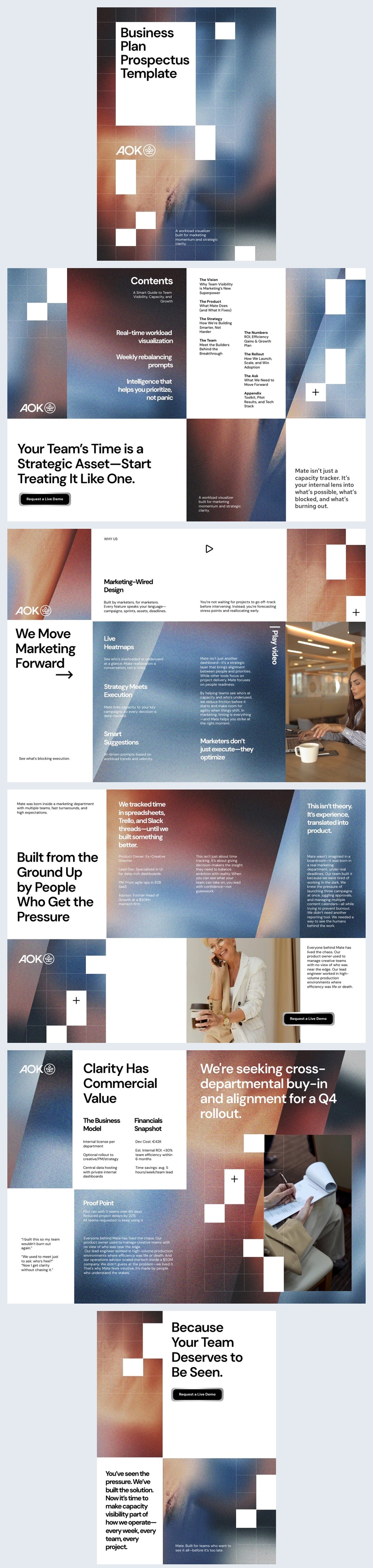 Businessplan Prospectus Idee