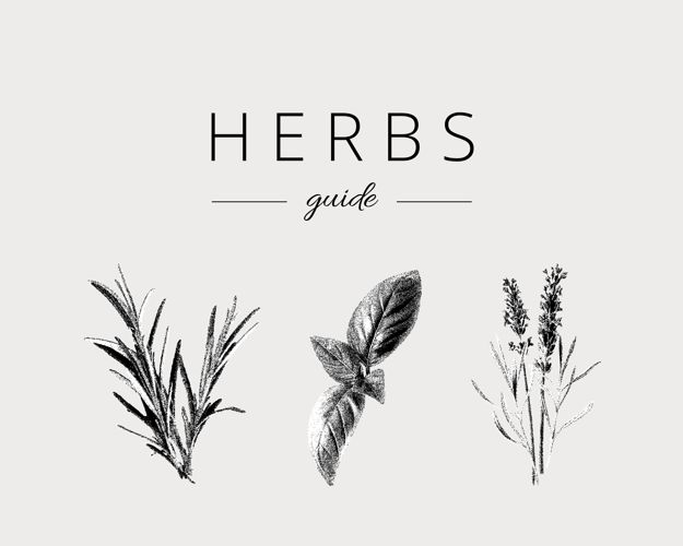 Minimalistisch presentatie ontwerp