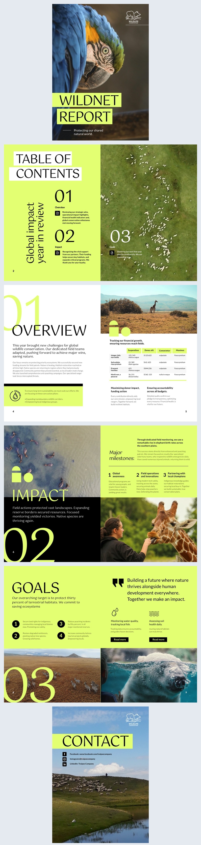 Idee für einen Jahresbericht zum Thema Wildtierschutz