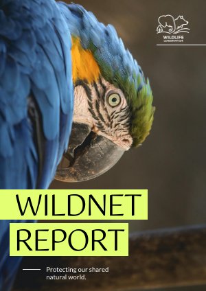 Idee für einen Jahresbericht zum Thema Wildtierschutz