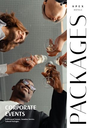 Modelo de Pacote para Delegado Diário