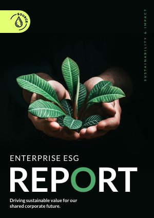 Idea per un modello di rapporto di sostenibilità