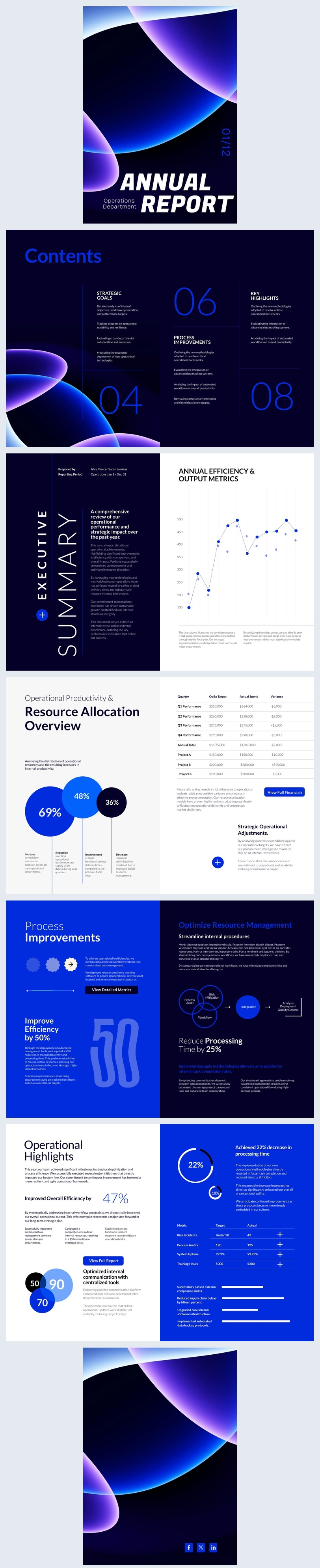 Annual Performance Report Template Idea
