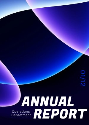 Annual Performance Report Template Idea