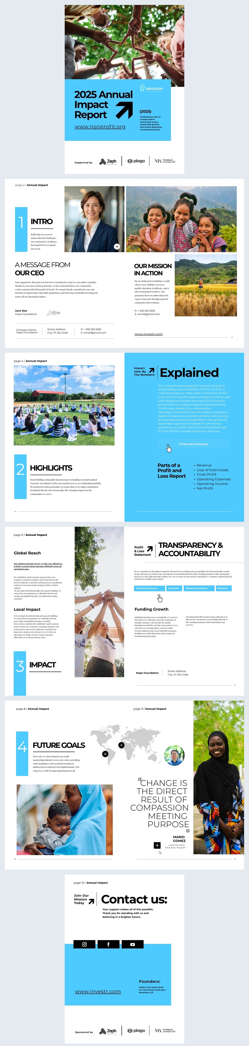 Nonprofit Impact Summary Template Idea