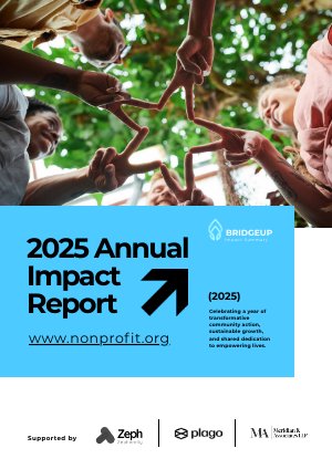 Nonprofit Impact Summary Template Idea