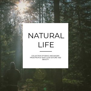 Brochura de Vida Linda