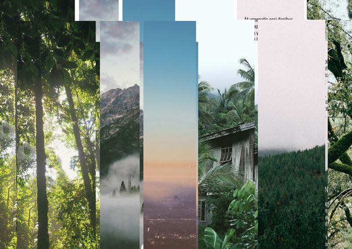 Broschüre Gesunder Lebensstil