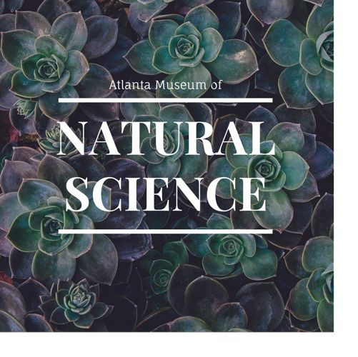 Museum Brochure Design