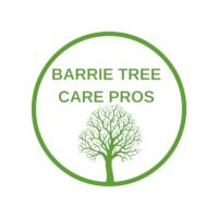 Barrie Tree Care Pros