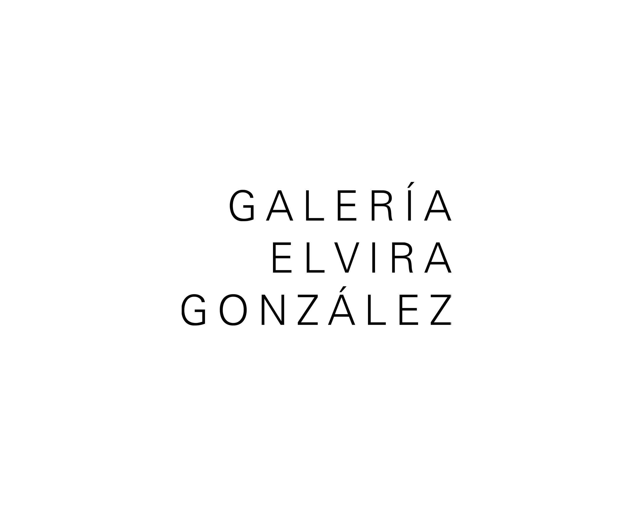 Galería Elvira González
