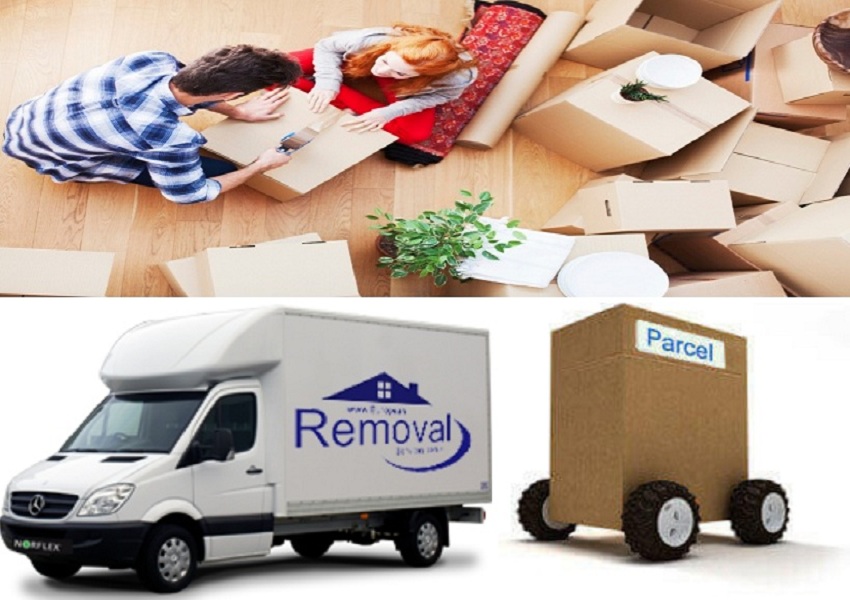 European Removal Services