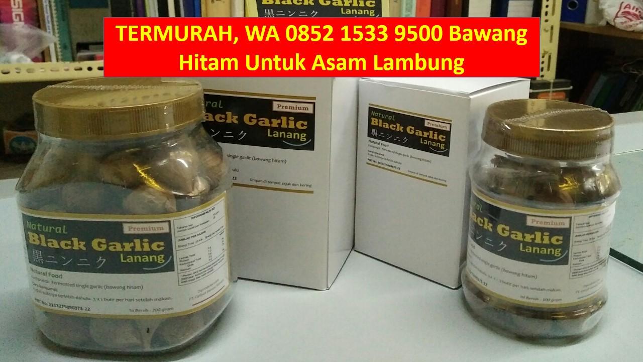 Agenbawang Hitam