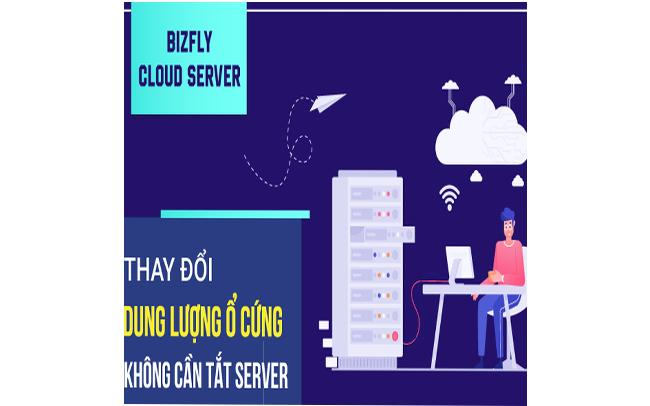 bizflyserver