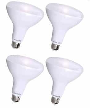 Ledoutdoorfloodlightbulbs