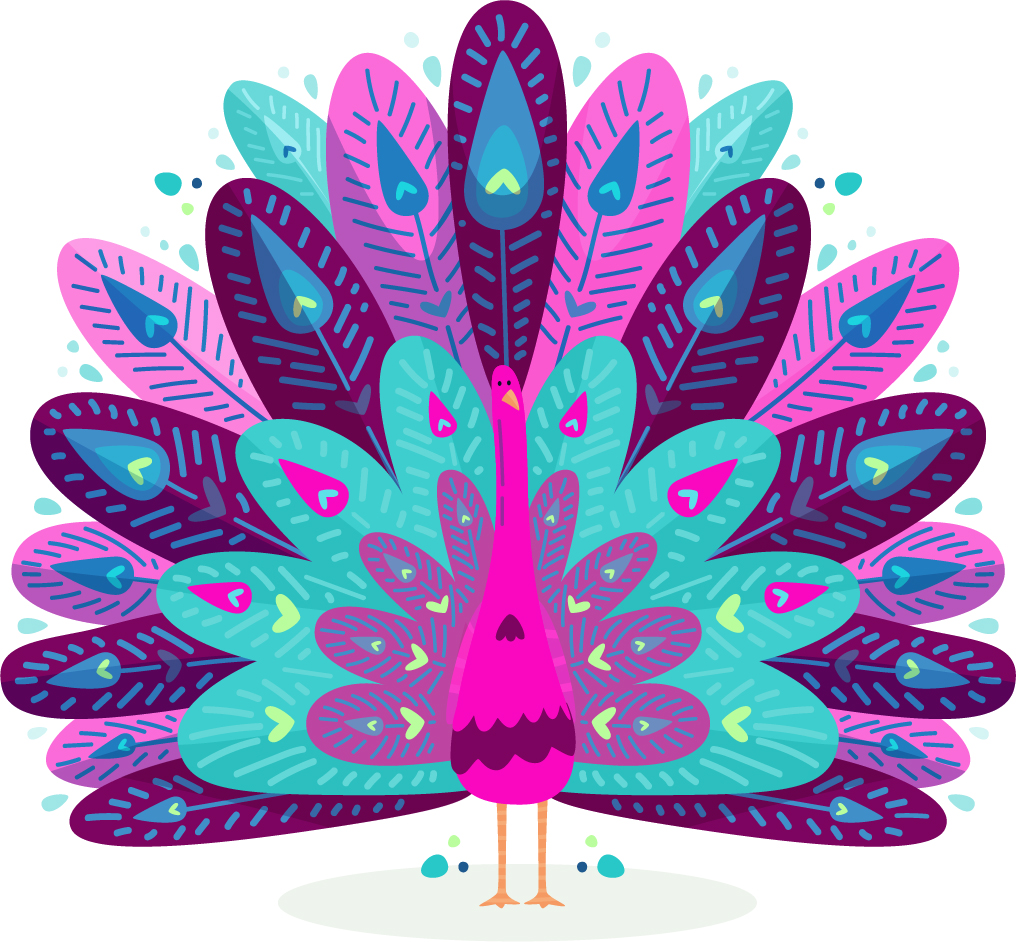 Peacock Modern Marketing