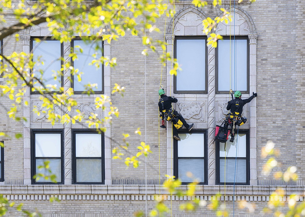 Petzl Professional