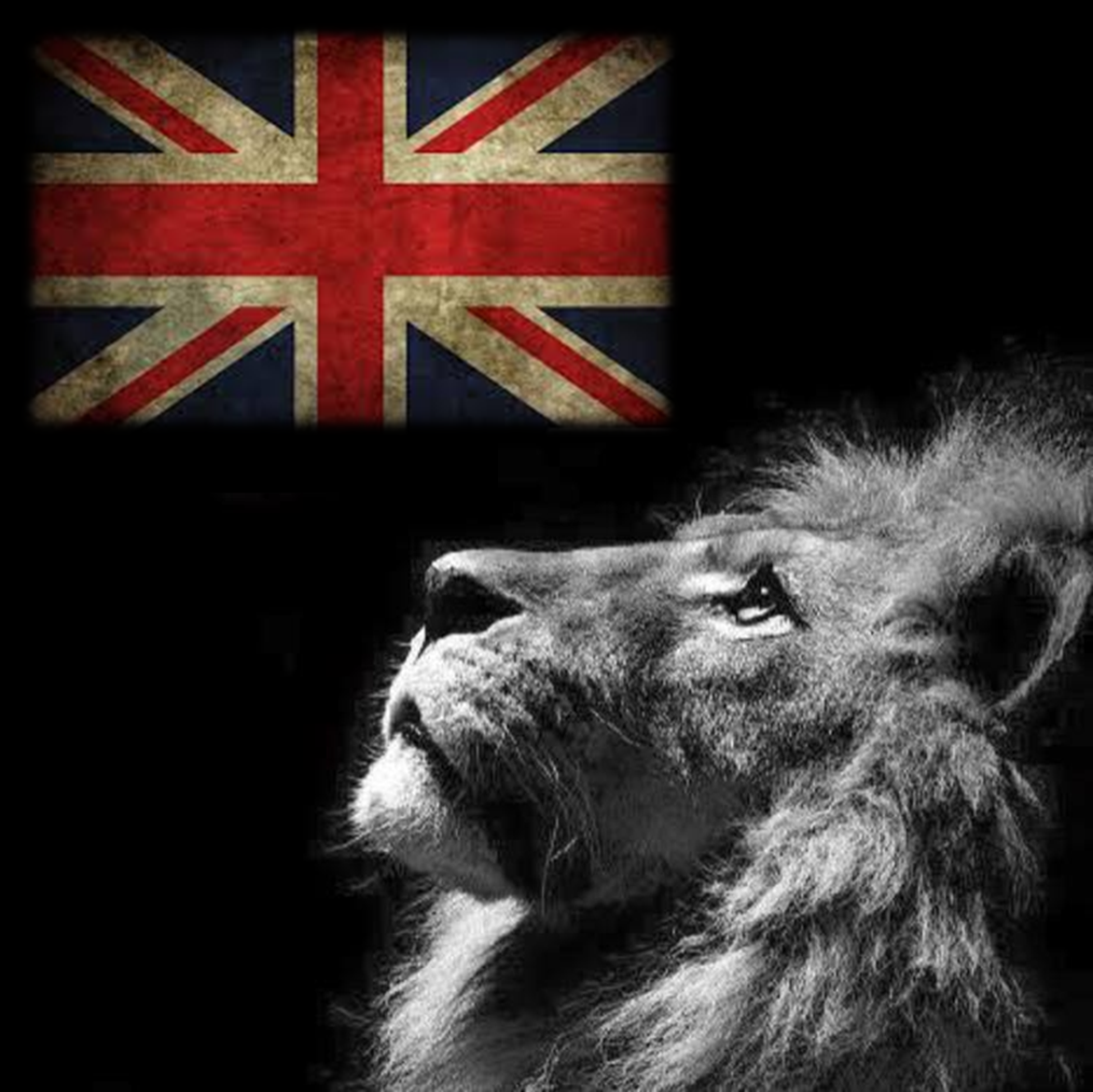 Griffin Military &amp; Diplomatic