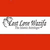 lostlovewazifa