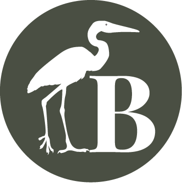 Bushtracks Expeditions