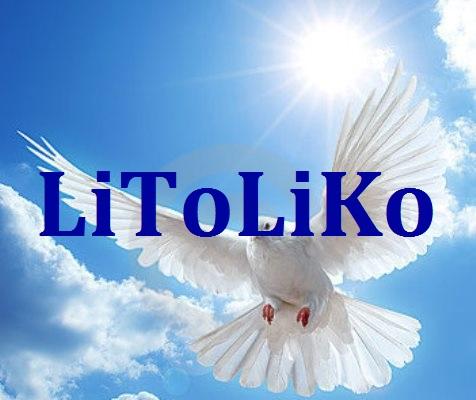 LiToLiKo
