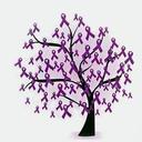 Abrafibro Assoc Bras Dos Fibromiálgicos