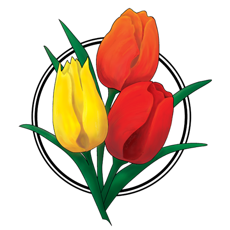 Van Diemen Quality Búlbs