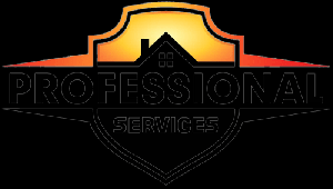 Professional Services