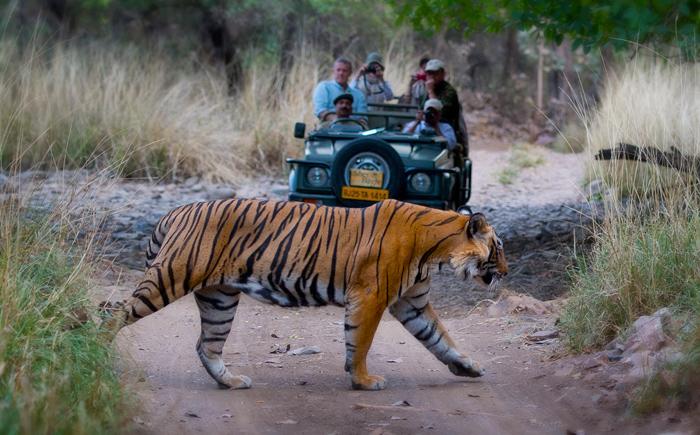 Noble House Tours Pvt. Ltd.