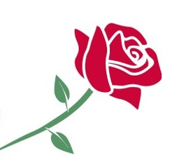 Whartons Garden Roses